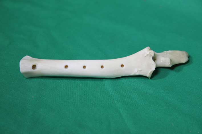 Knochenfl&ouml;te 10A