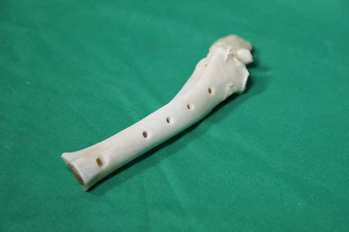 Knochenfl&ouml;te 10A