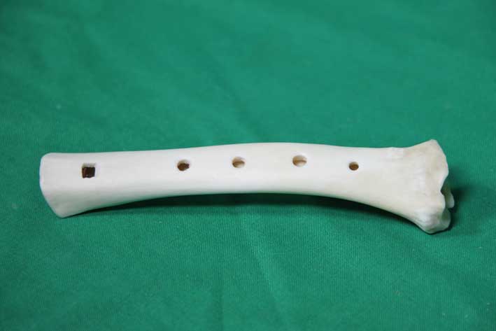 Knochenfl&ouml;te 10B