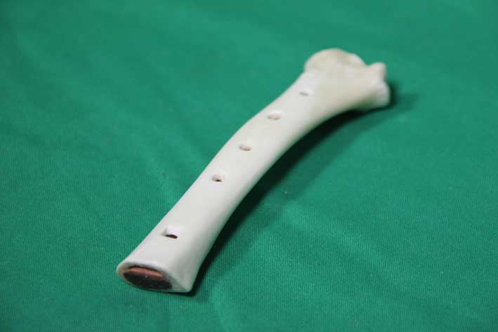 Knochenfl&ouml;te 10B