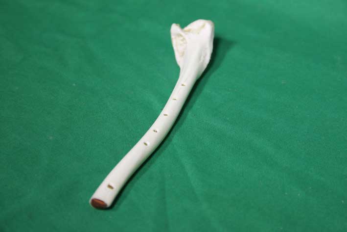 Knochenfl&ouml;te 10C