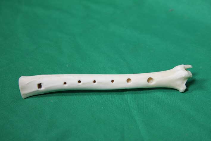 Knochenfl&ouml;te 10D