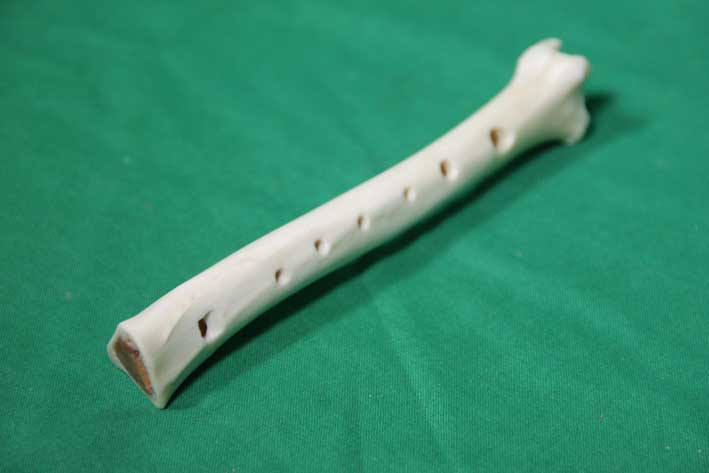 Knochenfl&ouml;te 10D