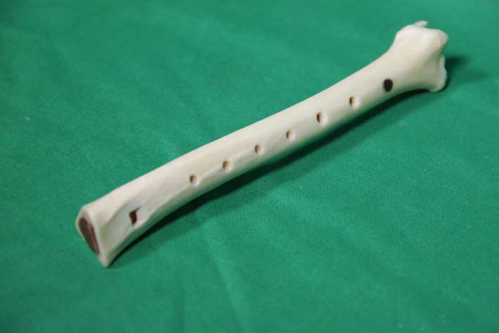 Knochenfl&ouml;te 10E