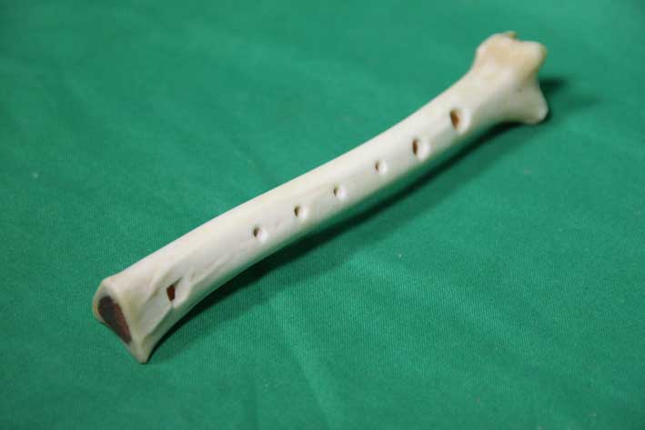 Knochenfl&ouml;te 10F