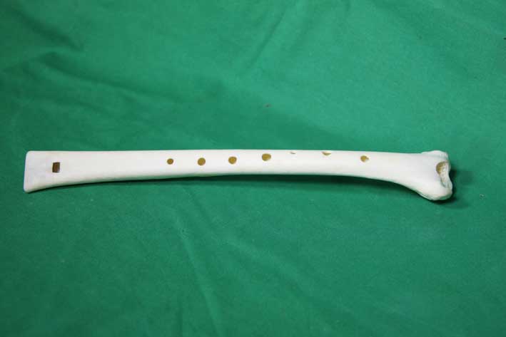 Knochenfl&ouml;te 10I