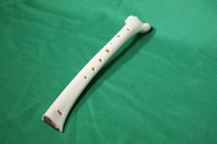 Knochenfl&ouml;te 10I