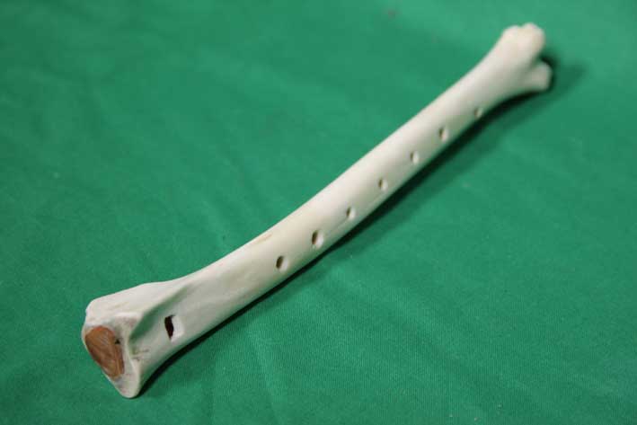 Knochenflöte 10J