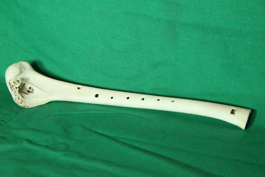 Knochenflöte 12F