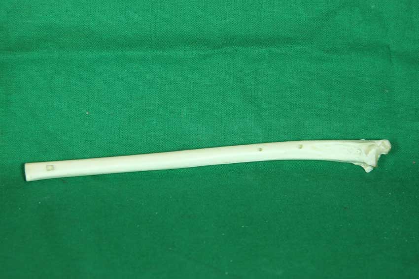 Knochenfl&ouml;te 13C