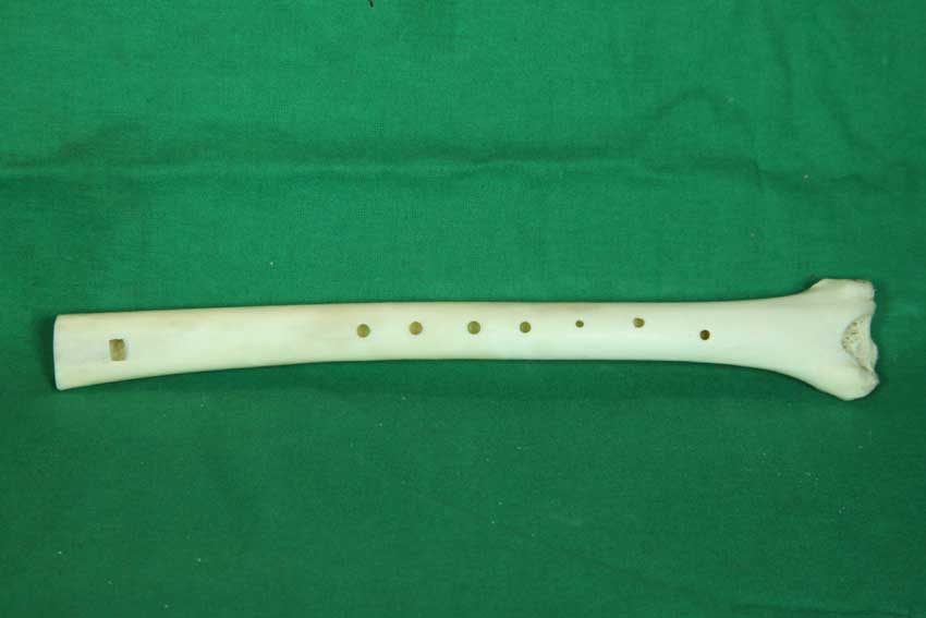 Knochenfl&ouml;te 13F