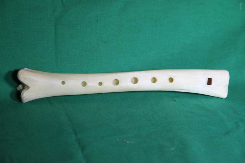 Knochenfl&ouml;te 14C