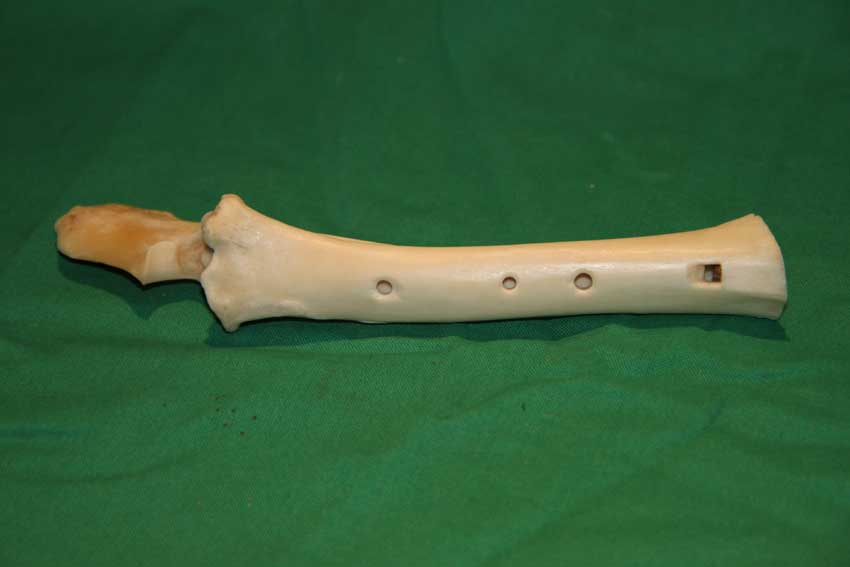 Knochenfl&ouml;te 15A