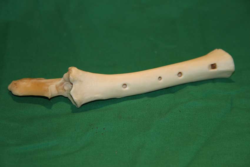 Knochenfl&ouml;te 15A