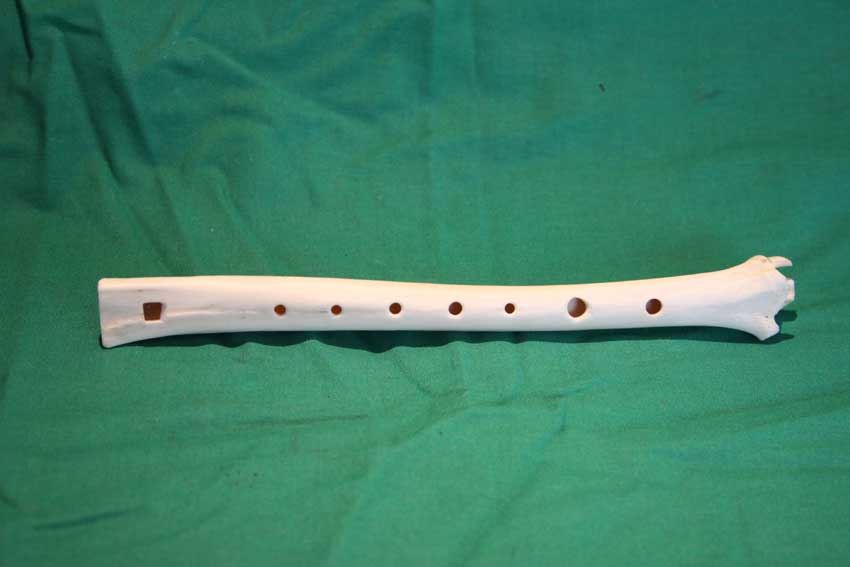 Knochenfl&ouml;te 15D