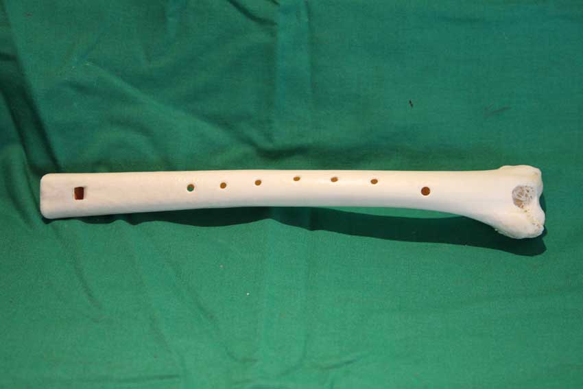 Knochenfl&ouml;te 15F