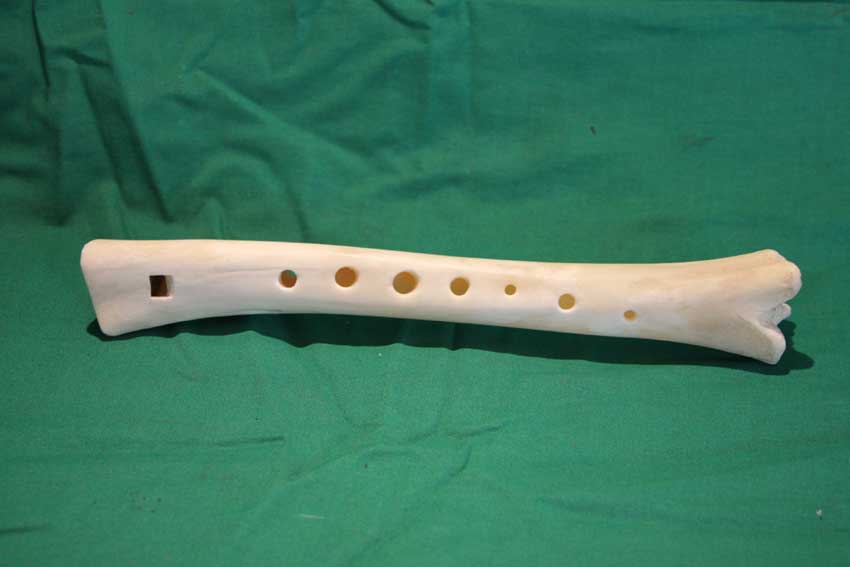 Knochenfl&ouml;te 15I