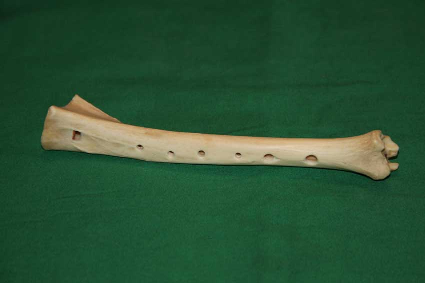 Knochenfl&ouml;te 17B