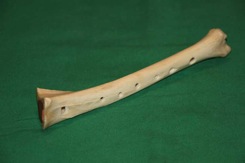 Knochenfl&ouml;te 17B