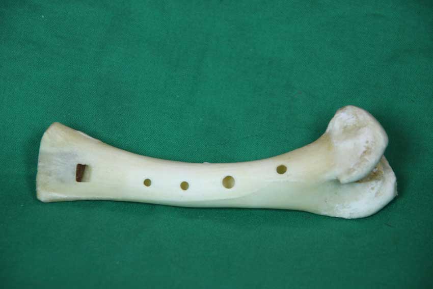 Knochenfl&ouml;te 18B