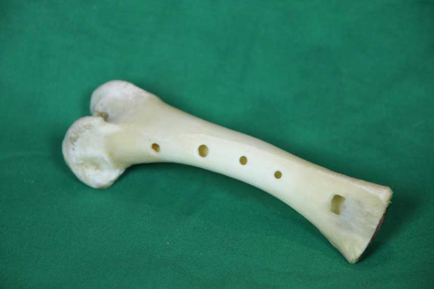 Knochenfl&ouml;te 18B