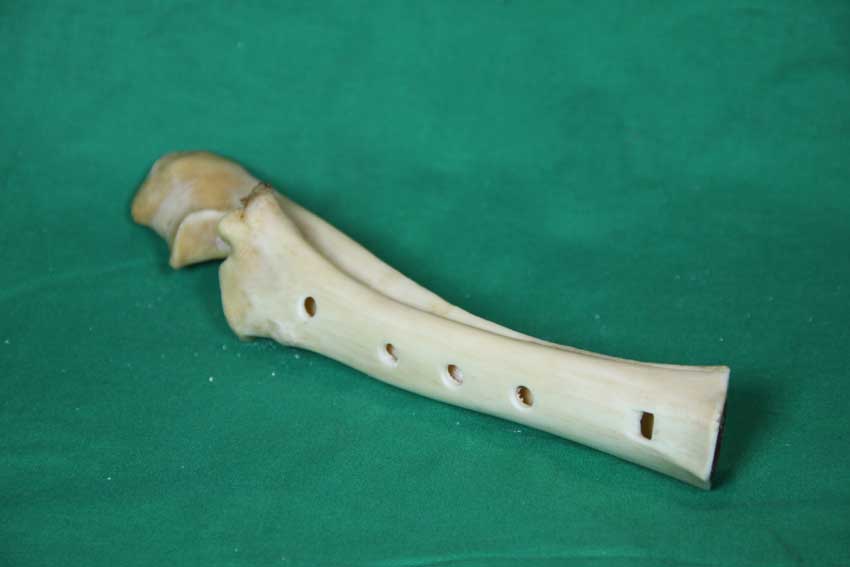 Knochenfl&ouml;te 18E