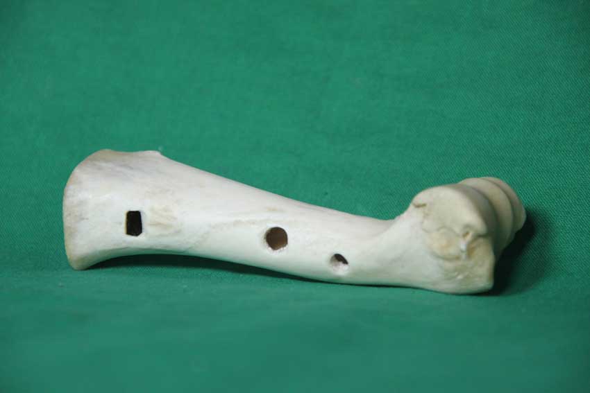 Knochenfl&ouml;te 19A