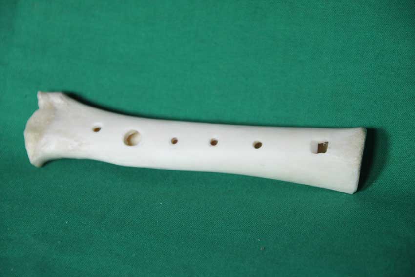 Knochenfl&ouml;te 19D