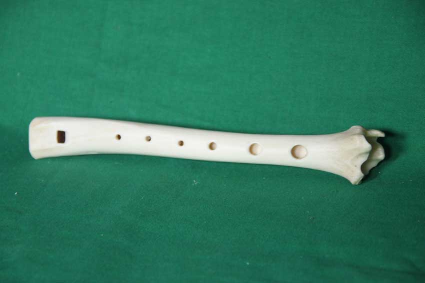 Knochenfl&ouml;te 19F