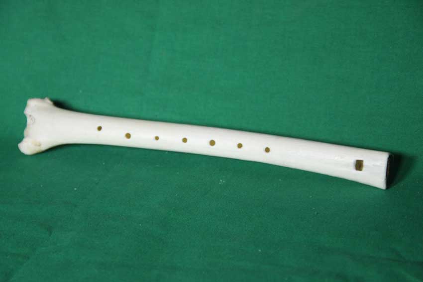 Knochenfl&ouml;te 19I