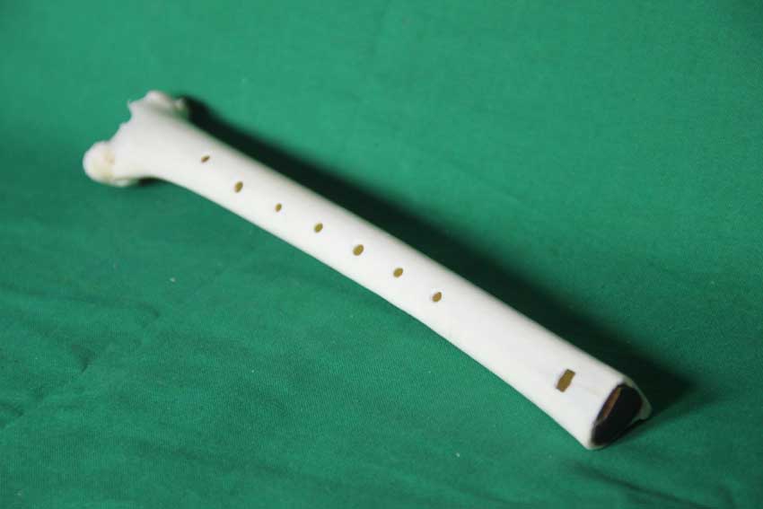 Knochenfl&ouml;te 19I