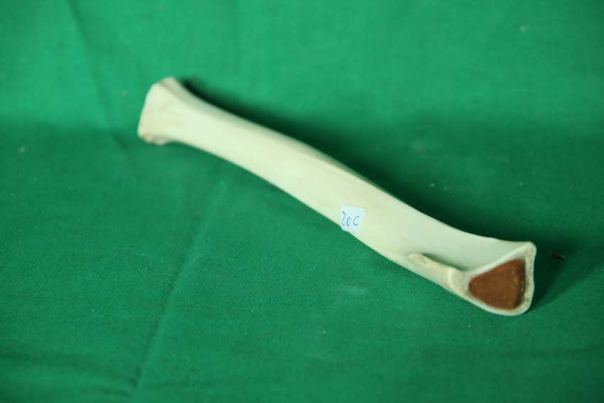 Knochenflöte 20C