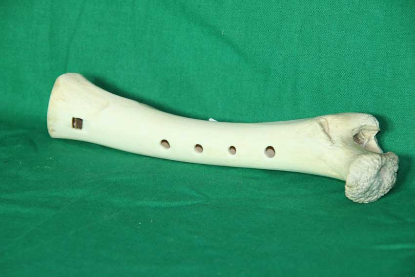 Knochenfl&ouml;te 21B