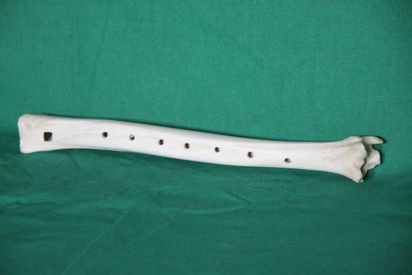 Knochenfl&ouml;te 21F