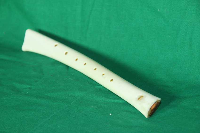 Knochenfl&ouml;te 21H