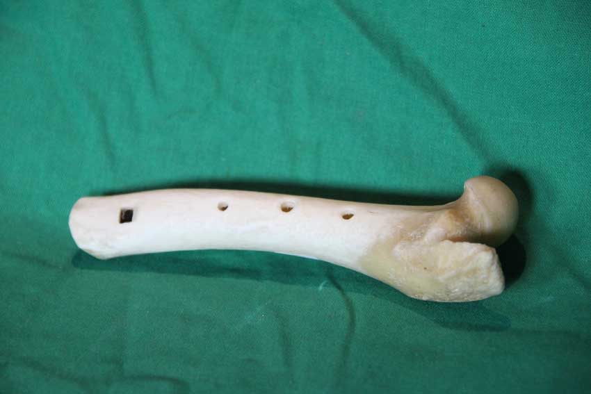 Knochenfl&ouml;te 22B