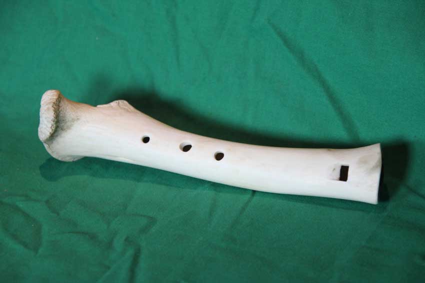 Knochenfl&ouml;te 22C