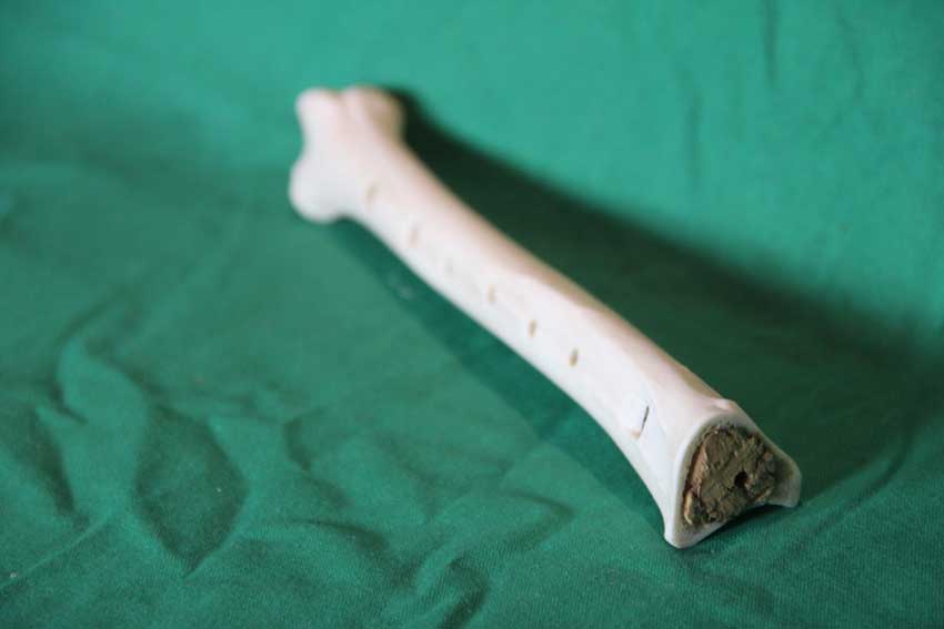 Knochenfl&ouml;te 22F