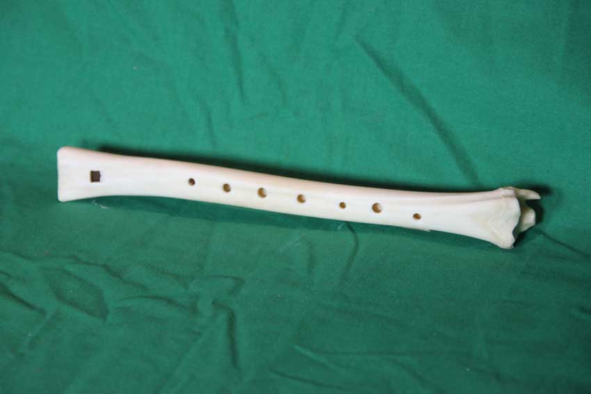 Knochenfl&ouml;te 22G
