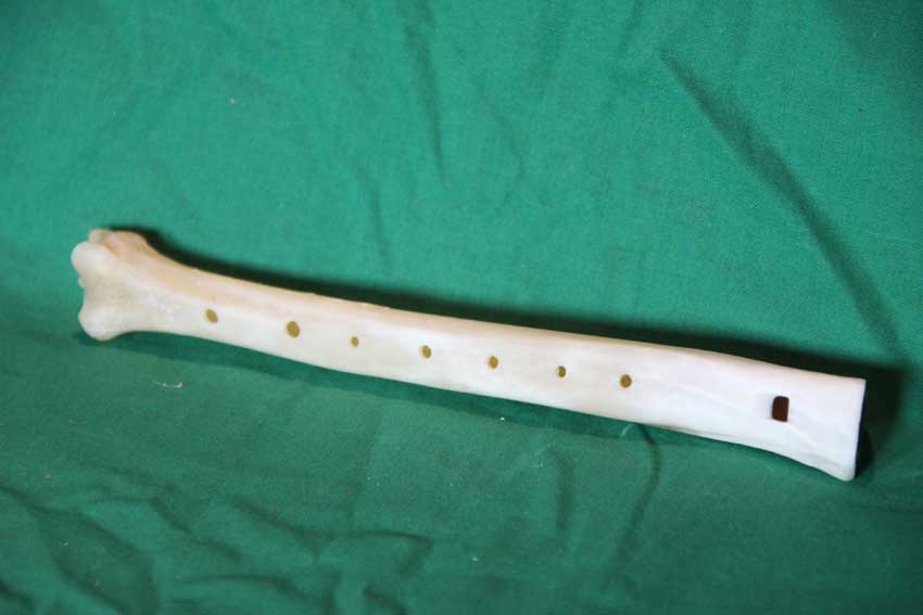 Knochenfl&ouml;te 22H