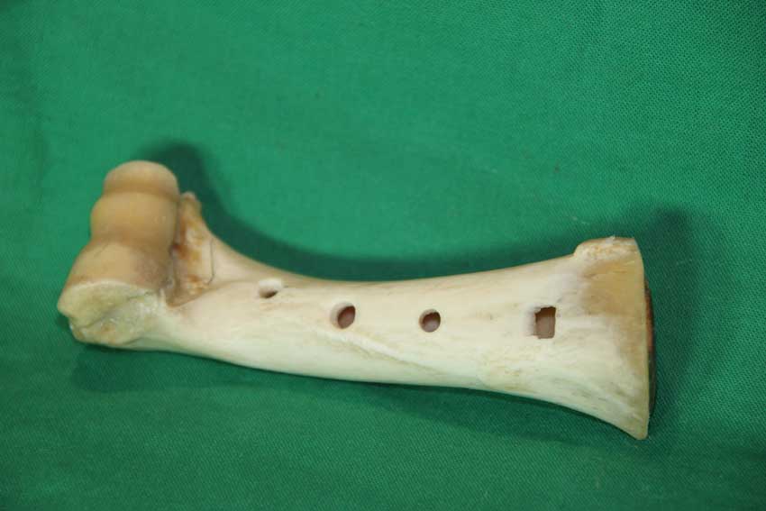 Knochenfl&ouml;te 23C