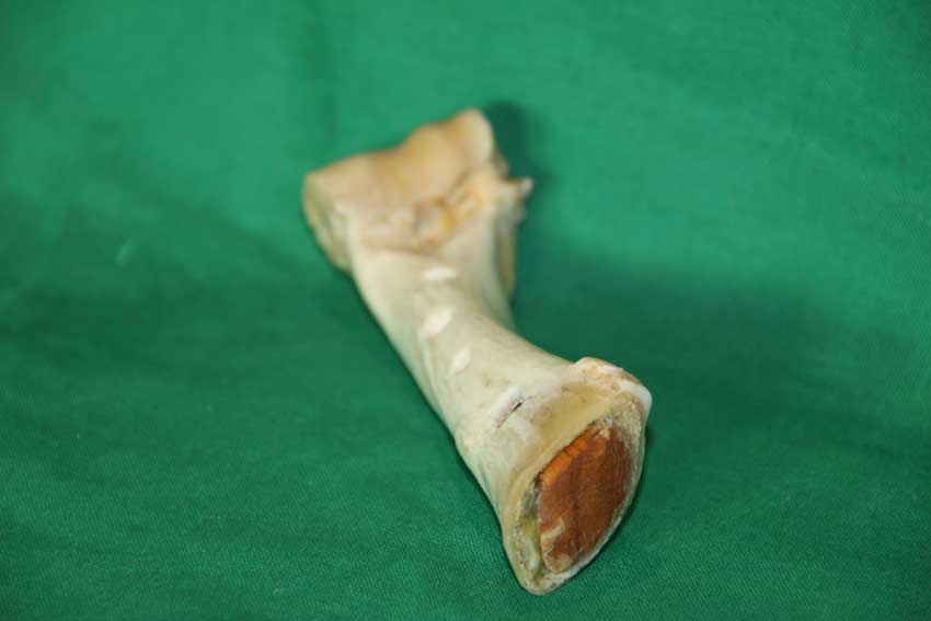 Knochenfl&ouml;te 23C