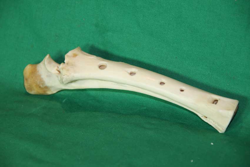 Knochenfl&ouml;te 23D