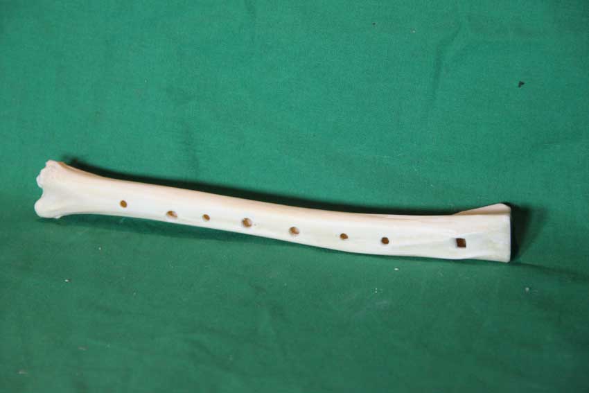 Knochenfl&ouml;te 23G