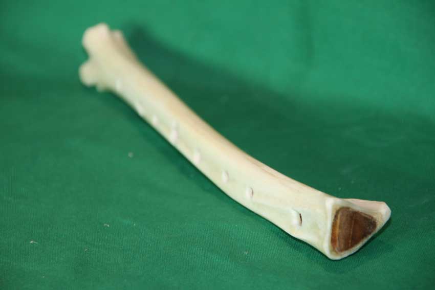 Knochenfl&ouml;te 23G