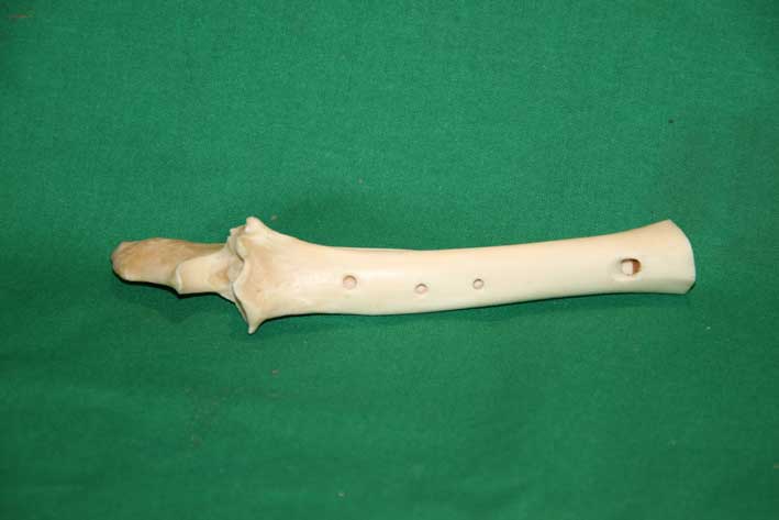 Knochenflöte 6A