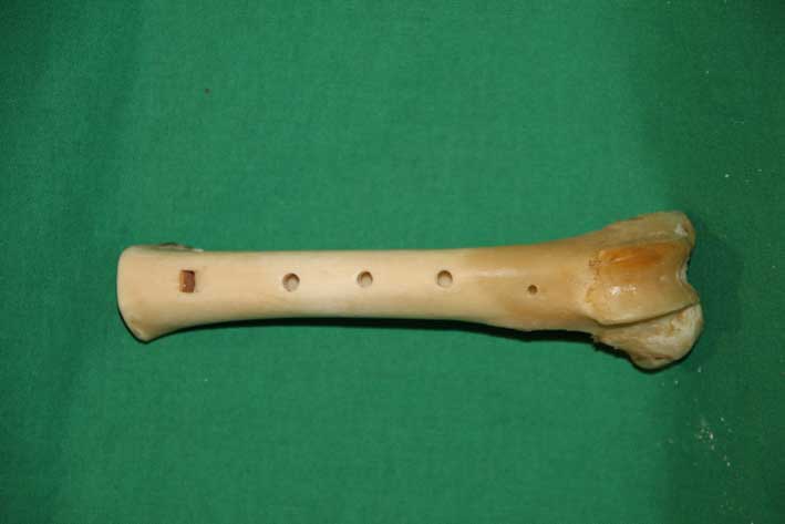Knochenflöte 6C