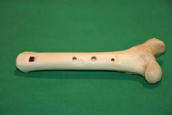 Knochenfl&ouml;te 7A