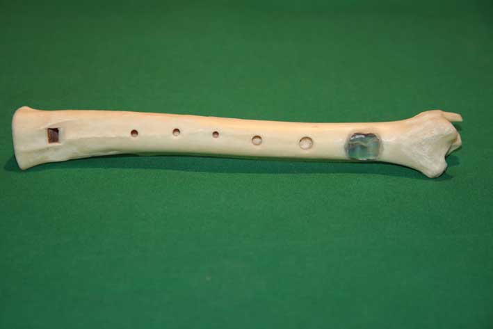 Knochenfl&ouml;te 7C
