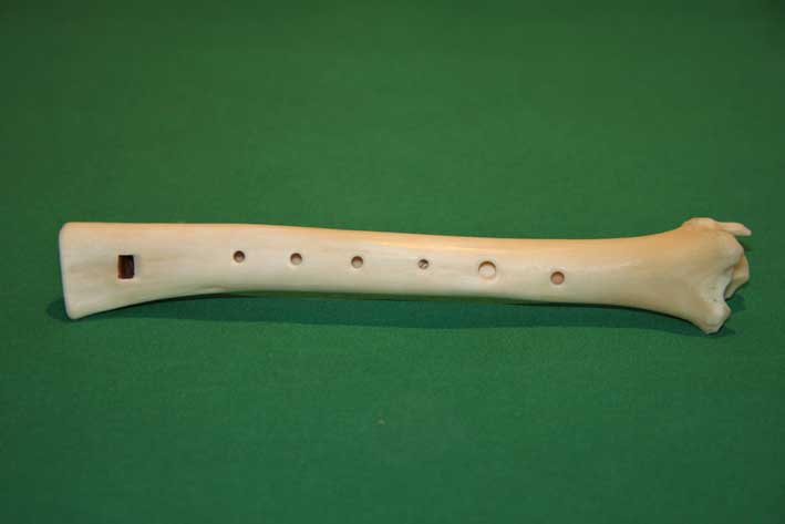 Knochenfl&ouml;te 7D